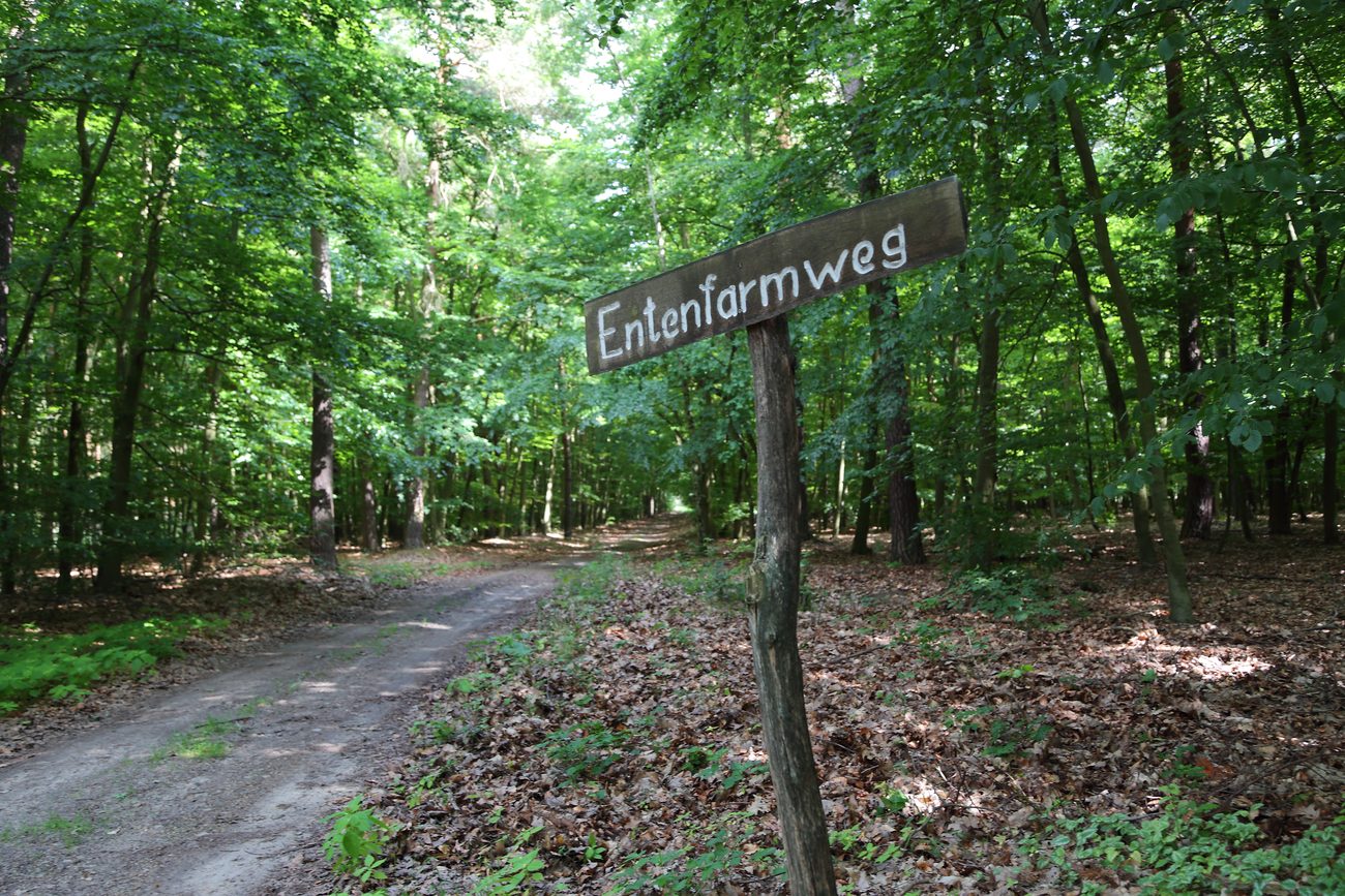 Drei Wanderungen auf der Schwäbischen Alb, die auch ein Sechsjähriger schafft
